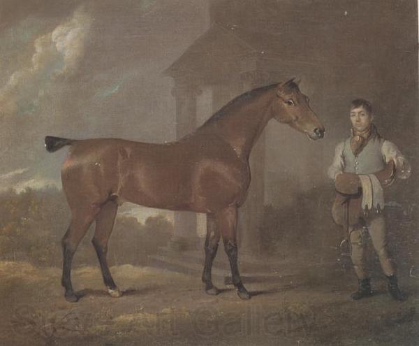 David Dalby The Racehorse 'Woodpecker' in a stall Spain oil painting art